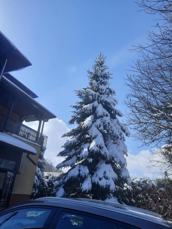 Apartament Naleczow Dom Pod Orzechami Exterior foto